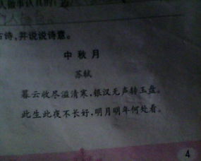 寫人的古詩詩句是什么意思是什么