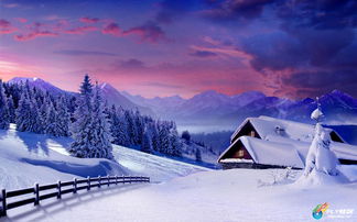 冬天雨的詩句古詩大全