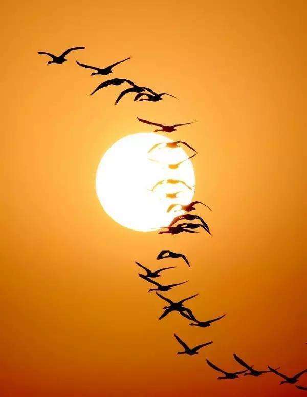 關于寂寞的名言詩句