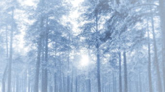 有關(guān)大寒的古詩(shī)4句,描寫(xiě)大寒的古詩(shī)2句,關(guān)于大寒的古詩(shī)句