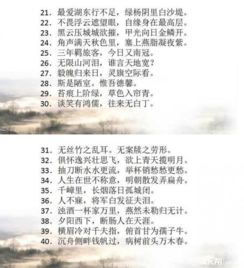 詩句,中學(xué)生,必備