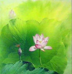 有關(guān)荷葉的詩(shī)句古詩(shī)