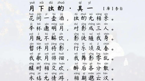 描寫春天花的詩句古詩,描寫花的詩句古詩名句,描寫花的優(yōu)美詩句古詩