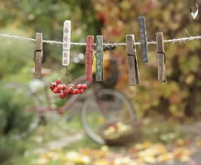 紅豆杉,詩(shī)句