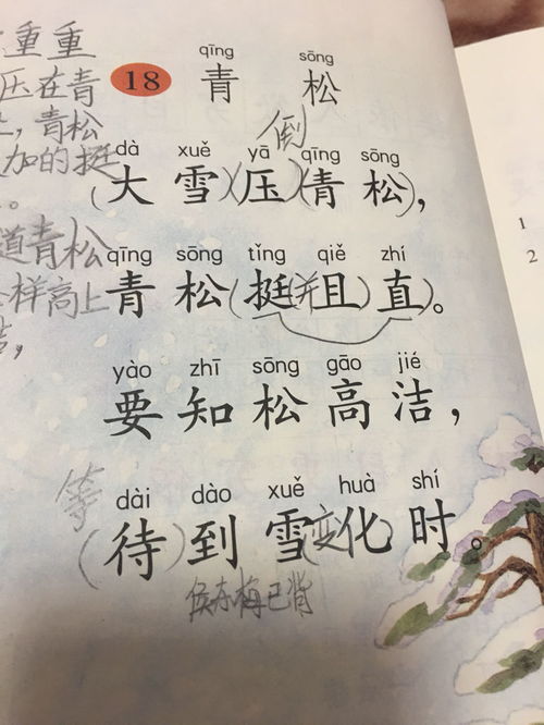 關(guān)于贊頌青松的詩句