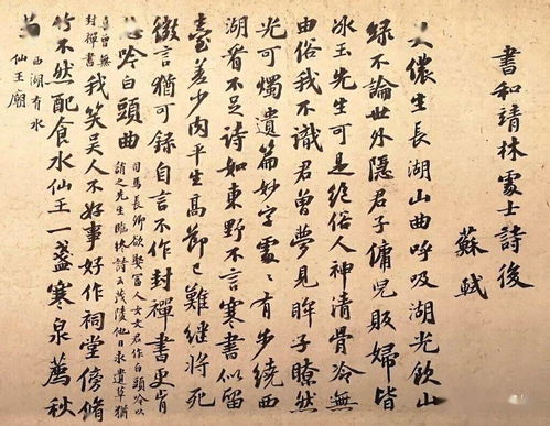 關(guān)于林的詩句古詩,林開頭的詩句古詩,6字詩句古詩