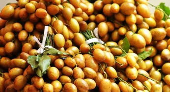 關(guān)于黃皮的詩(shī)句