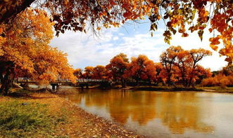 詩句,秋天,冬天