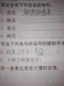 寫出幾句關(guān)于花的詩句