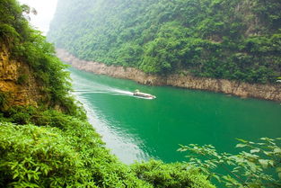 四級關(guān)于長江的詩句有哪些