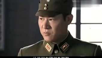 關(guān)于夏梅詩(shī)句