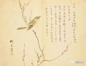 詩(shī)經(jīng)里關(guān)于七月的詩(shī)句