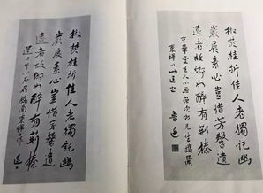 關(guān)于鎮(zhèn)店之寶的詩(shī)句