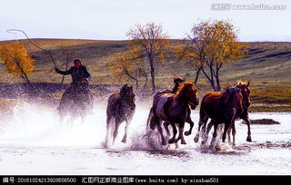 駿馬奔騰的古詩句