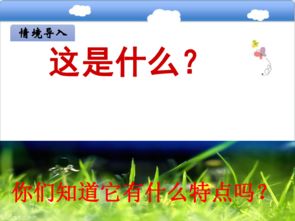 兒童捕蟬的詩句,描寫兒童的詩句古詩,關(guān)于兒童生活的詩句古詩