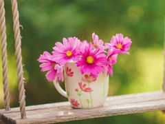 關(guān)于春日賞花詩句