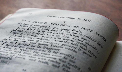 關于玫瑰的詩句唯美英文,莎士比亞玫瑰詩句英文,莎士比亞玫瑰詩句英文表達的意思