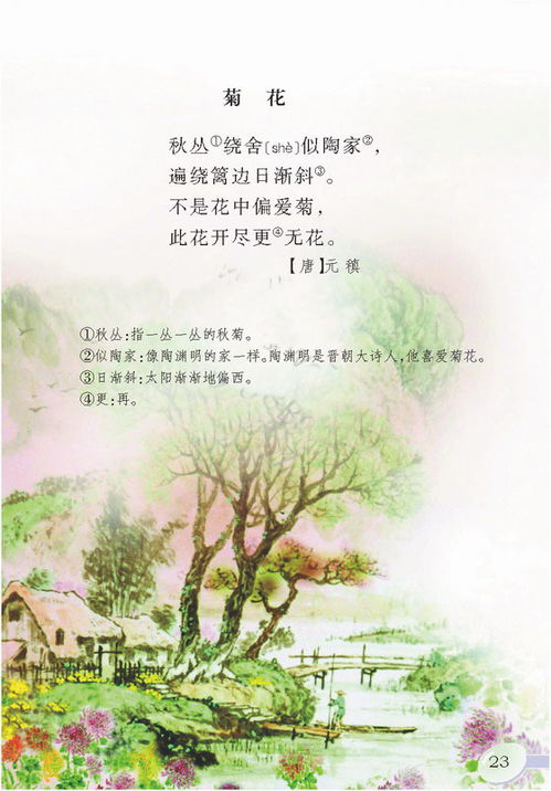 贊美秋天荷花的詩句古詩大全,贊美秋天美景的詩句古詩大全,秋天景色的詩句古詩大全