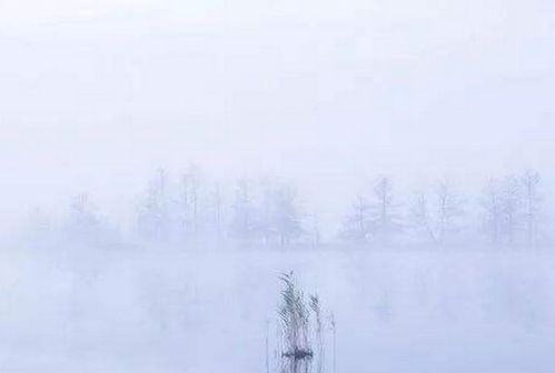 關(guān)于朦朧的詩(shī)句有哪些