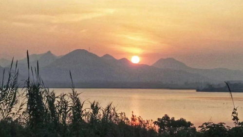 有關(guān)景的詩句古詩,描寫風(fēng)景的詩句古詩,關(guān)于江南春景的詩句