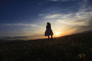 關(guān)于未來的勵(lì)志古詩(shī)句