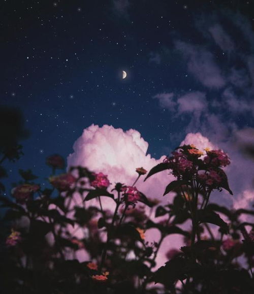 很晚下班的詩(shī)句古詩(shī)詞