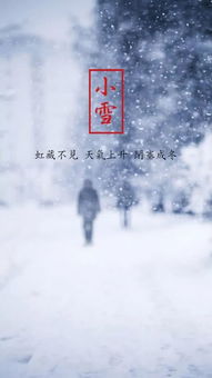 雪美的詩(shī)句古詩(shī)詞
