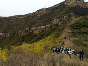 吊橋,詩(shī)句,鋼絲