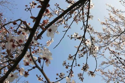 關(guān)于嫌棄的詩句