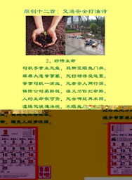 關(guān)于交通安全的詩(shī)句和名言,關(guān)于交通安全的詩(shī)句四句,關(guān)于交通安全的詩(shī)句現(xiàn)代