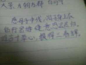 贊頌?zāi)笎鄣脑娋涔旁娫~