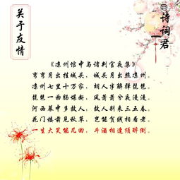 描寫朋友的詩(shī)句古詩(shī)詞