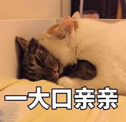 關(guān)于不思進(jìn)取的的詩句