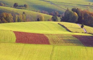 詩句,牽掛,遠方,愛人