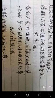 關(guān)于友情詩句及解釋