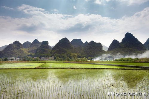 田園風光唯美的句子,田園風光的句子簡短,感受田園風光的句子
