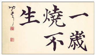 白居易寫(xiě)的關(guān)于小草的詩(shī)句,白居易贊美小草的詩(shī)句,白居易稱(chēng)贊小草的詩(shī)句