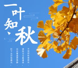 贊美樹葉的詩句古詩