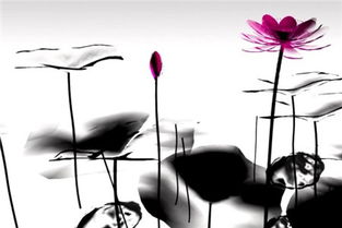 與重陽有關的古詩句