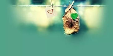 關于磨練意志的詩句