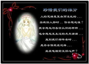 朋友緣分的古詩句