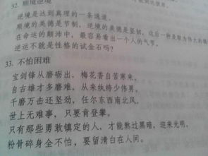 關(guān)于面對(duì)逆境的詩句