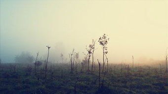 詩人被貶謫后寫的千古詩句