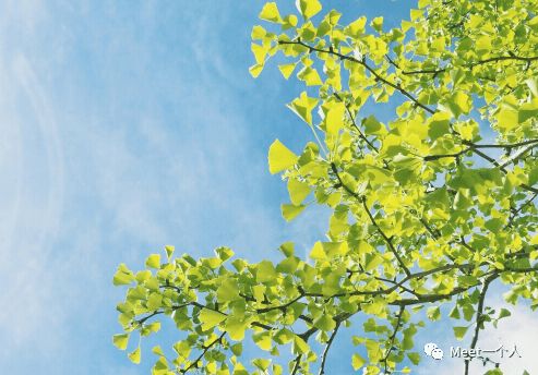 表達(dá)愛(ài)情的古詩(shī)句,愛(ài)情失意的古詩(shī)句,祝福愛(ài)情長(zhǎng)久的古詩(shī)句