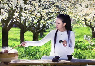 關(guān)于普洱茶的古詩句,形容普洱茶的美句,形容時(shí)光飛逝的古詩句