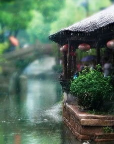 春天的雨詩(shī)句古詩(shī)大全