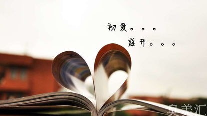 含古詩句的小學(xué)畢業(yè)贈言