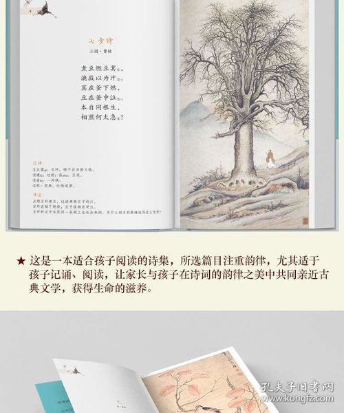 古詩詞彩色詩句