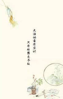 關(guān)于小今的詩句