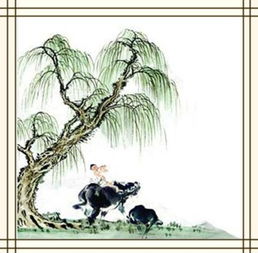 柳樹(shù),詩(shī)句,贊美,有名